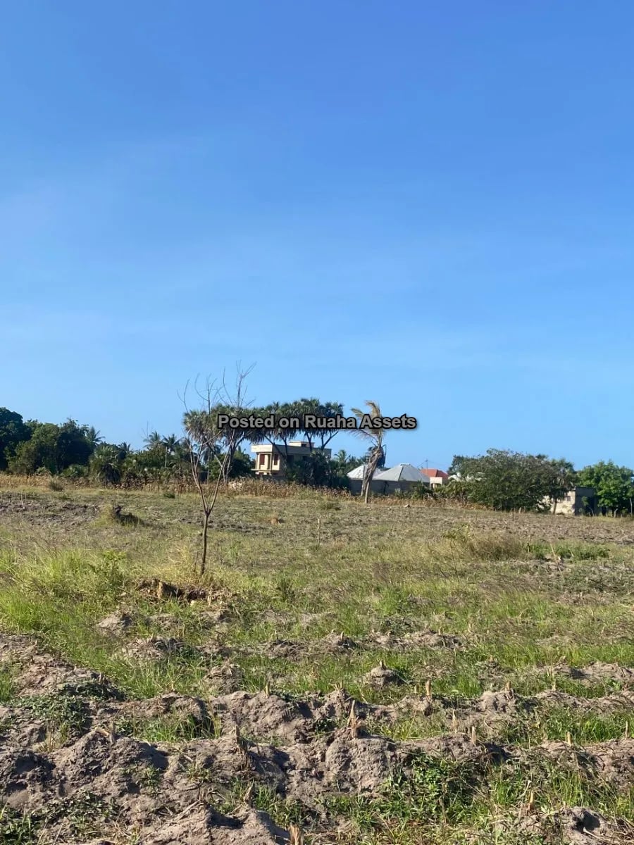 Surveyed Plot at Kigamboni Mbutu Kichangani image 2