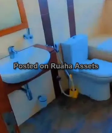 Penthouse at Posta Twin Towers image 5