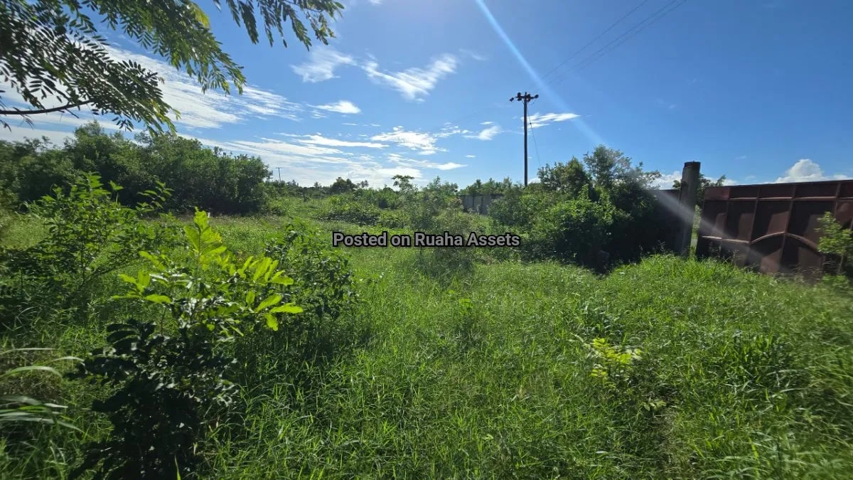 Plot for Sale at Chamazi  image 9