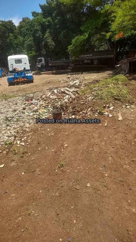 Big Plot 1 acre for Sale Oysterbay  image 4