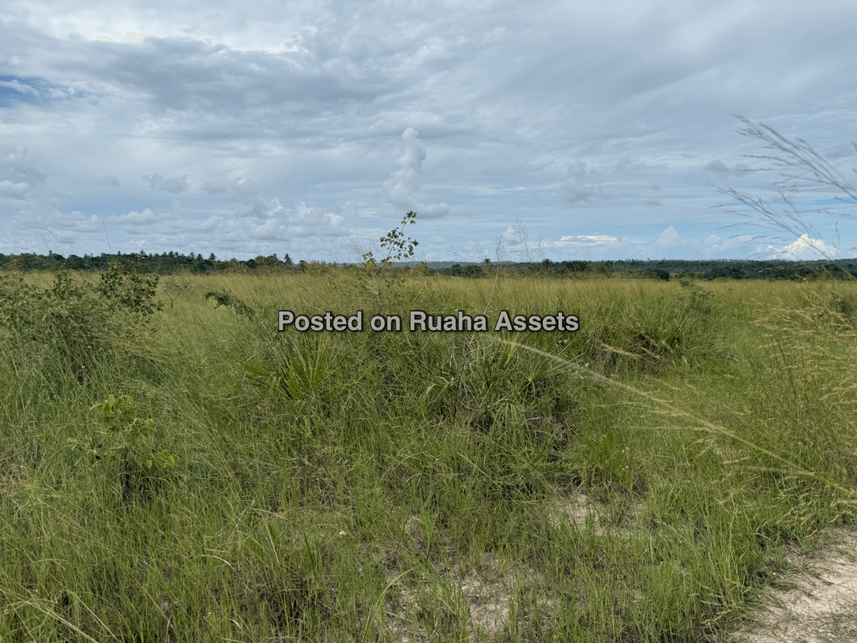 A 10 acre plot for sale at Mkuranga image 4