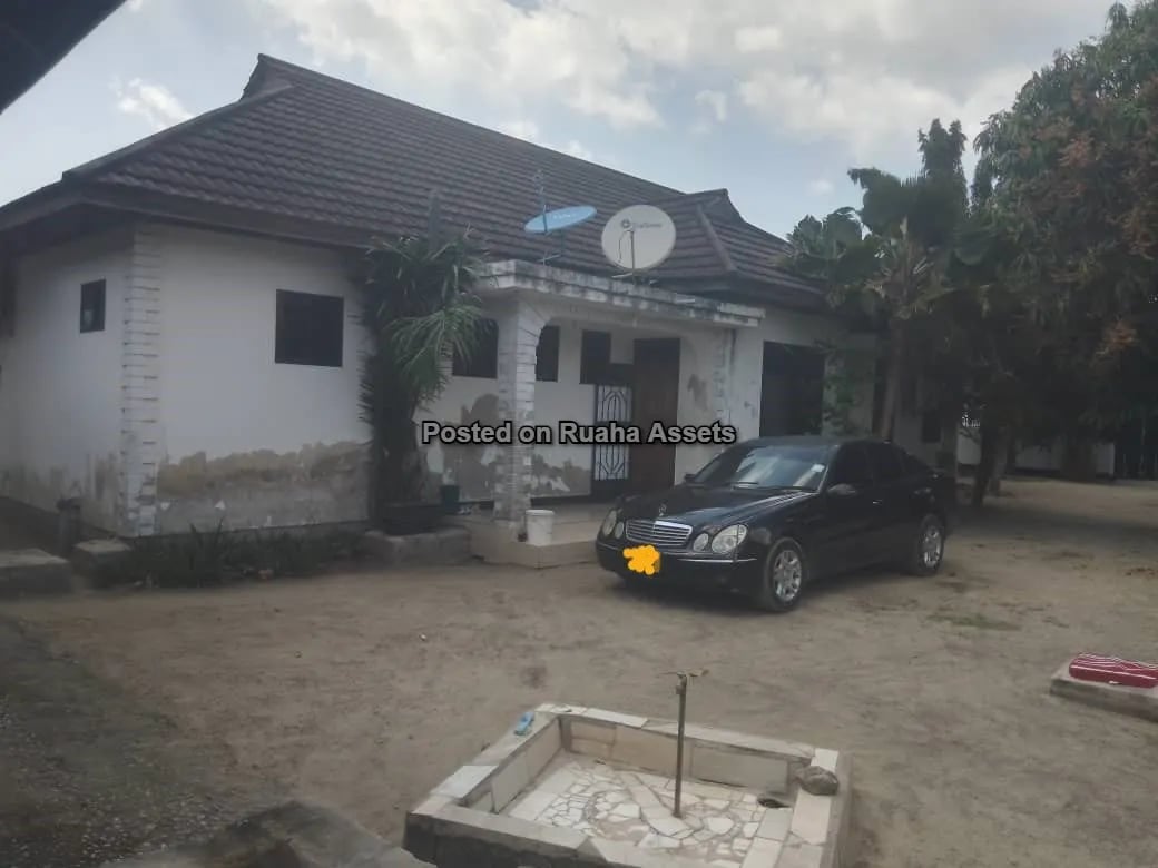 NYUMBA KUBWA INAUZWA image 9