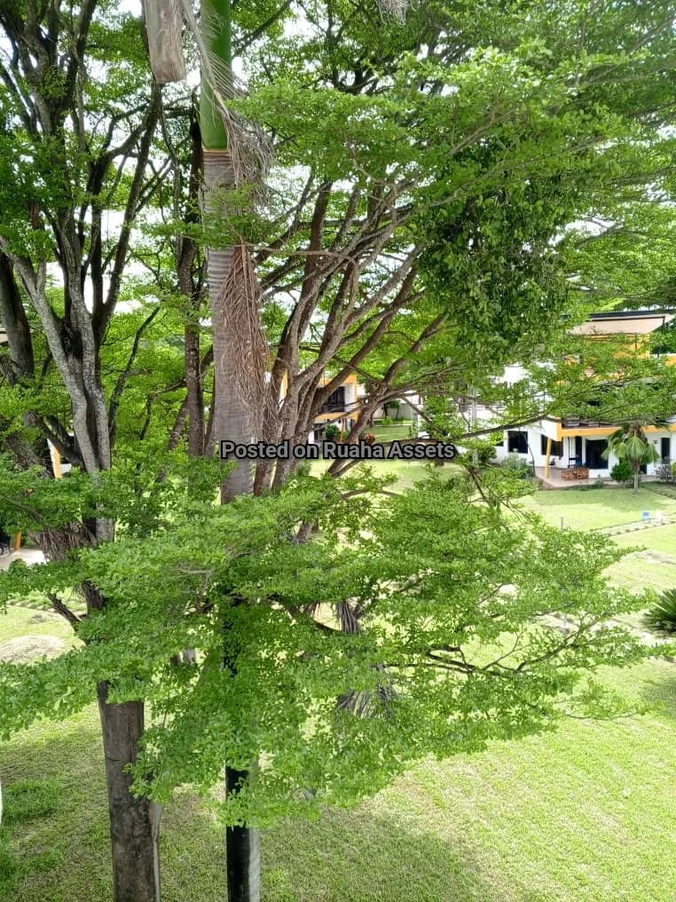 Beach House for Sale at Mbezi Beach image 14