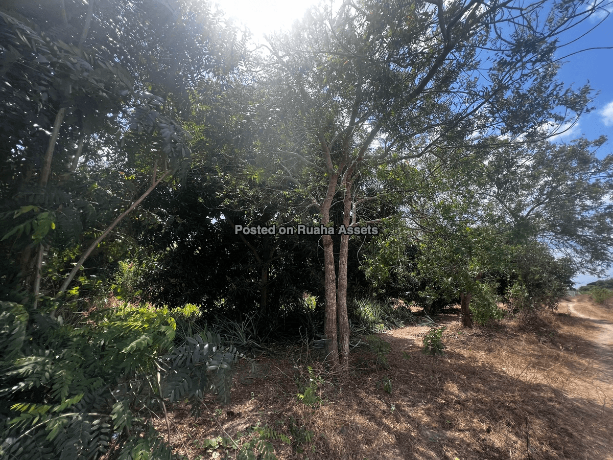 5 Acres farm for Sale, Kidomole Village Bagamoyo image 3