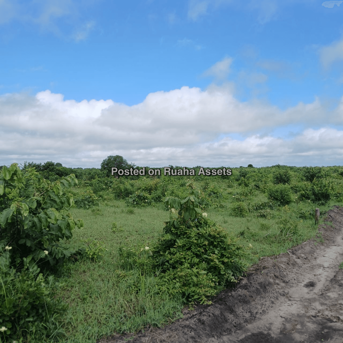 Industrial plots for sale in Kibaha, Misugusugu. image 1