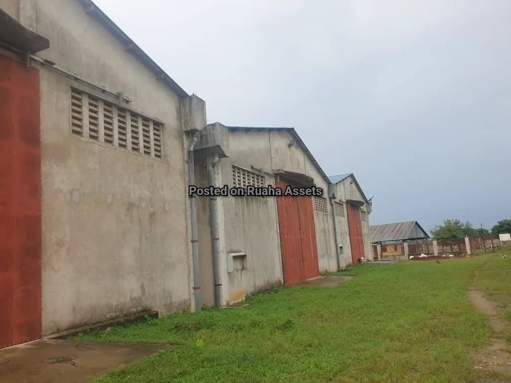 Warehouses for lease at Bagamoyo Road  image 2