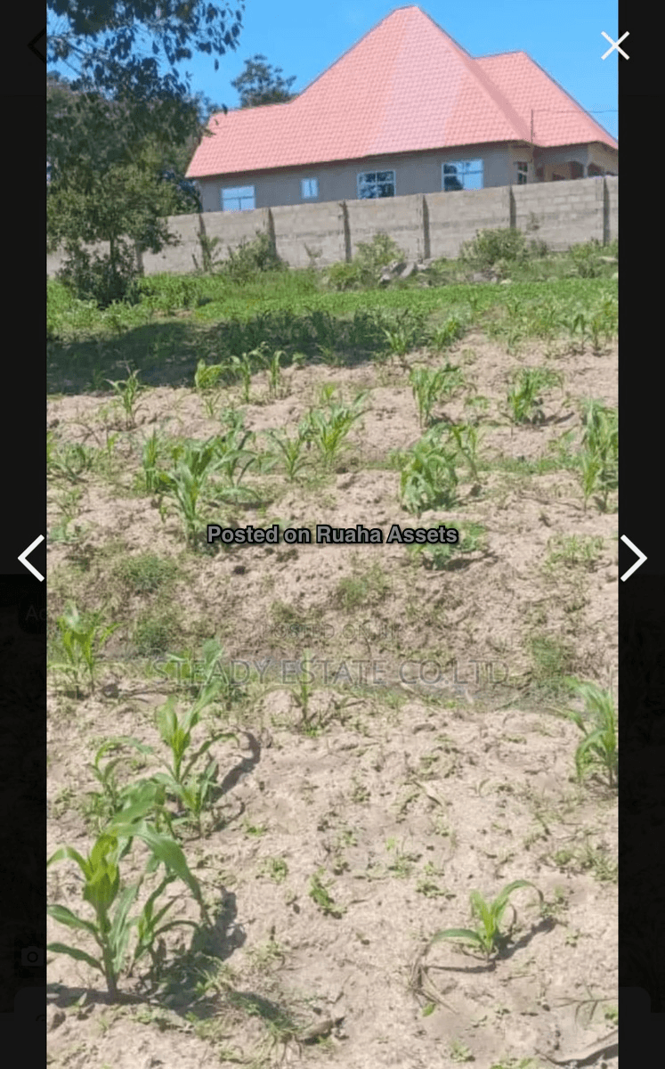 Plot for Sale in Buswelu, Mwanza image 2