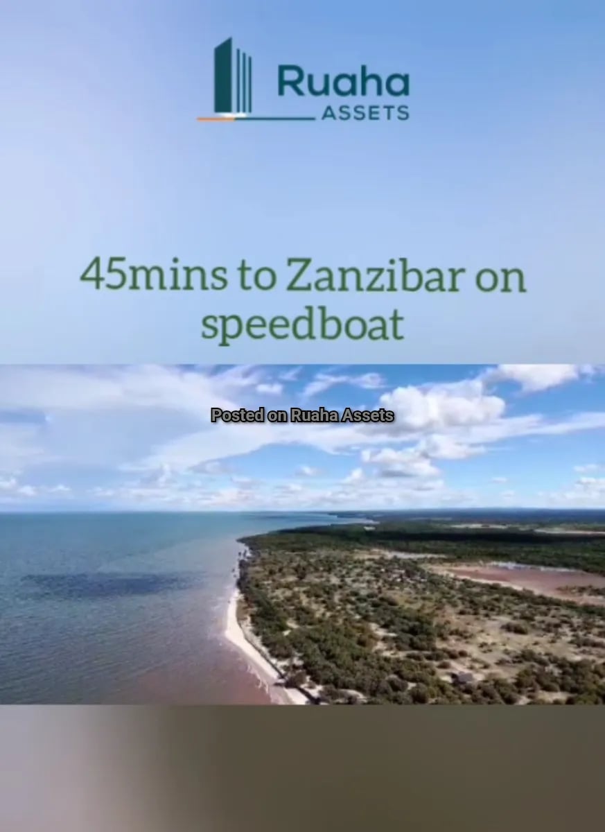 Prime Beachplot for Sale at Saadani image 3