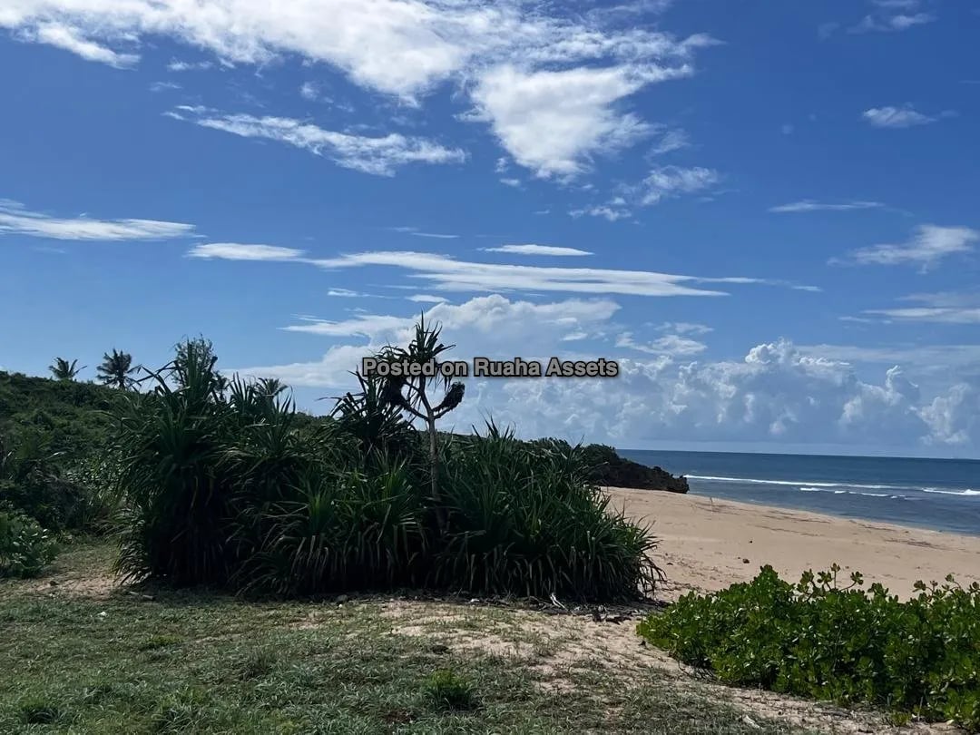 Beachfront Investment Opportunity - Mbutu Beach, Kigamboni, Dar es Salaam image 5