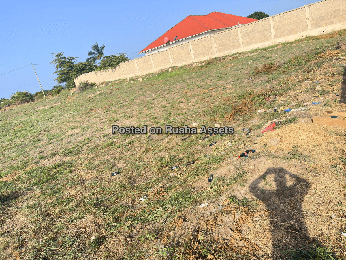 A HOT 1525 SQM PLOT FOR SALE AT MBWENI.. image 2