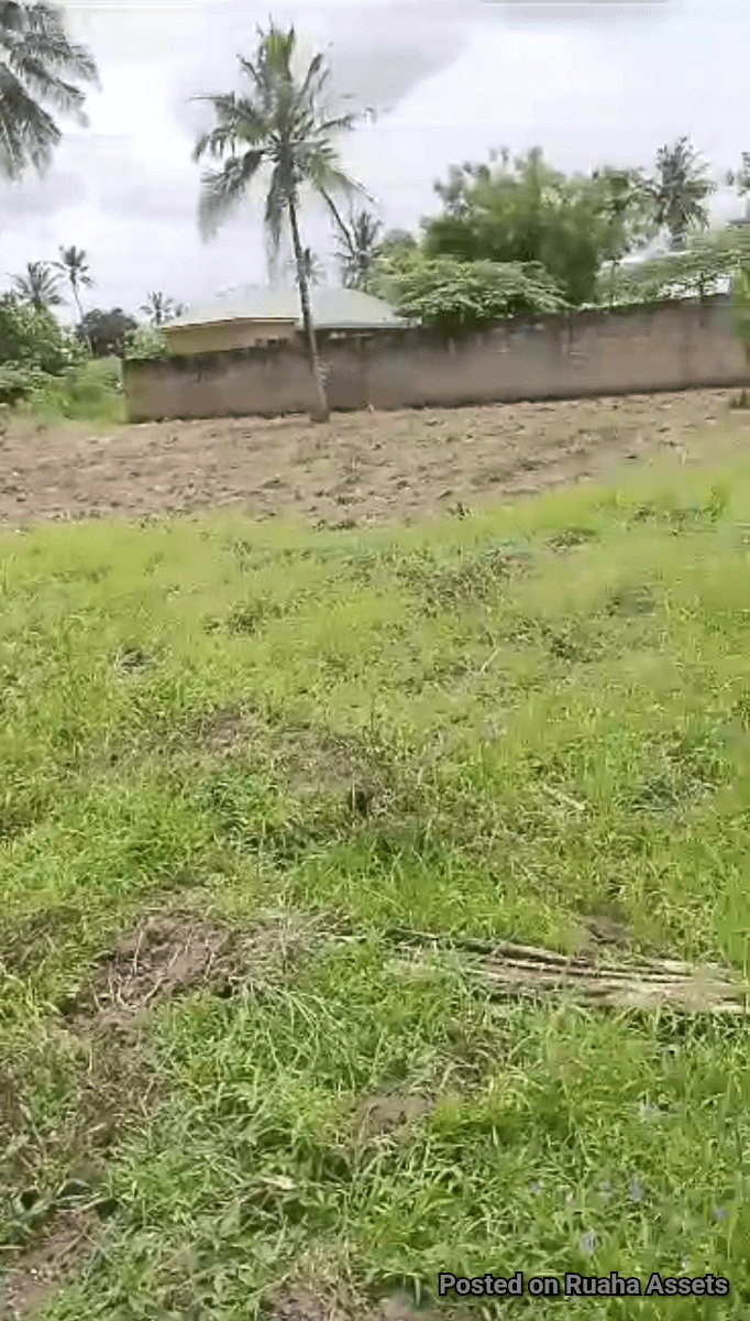 Half an acre for sale Mabwepande image 4