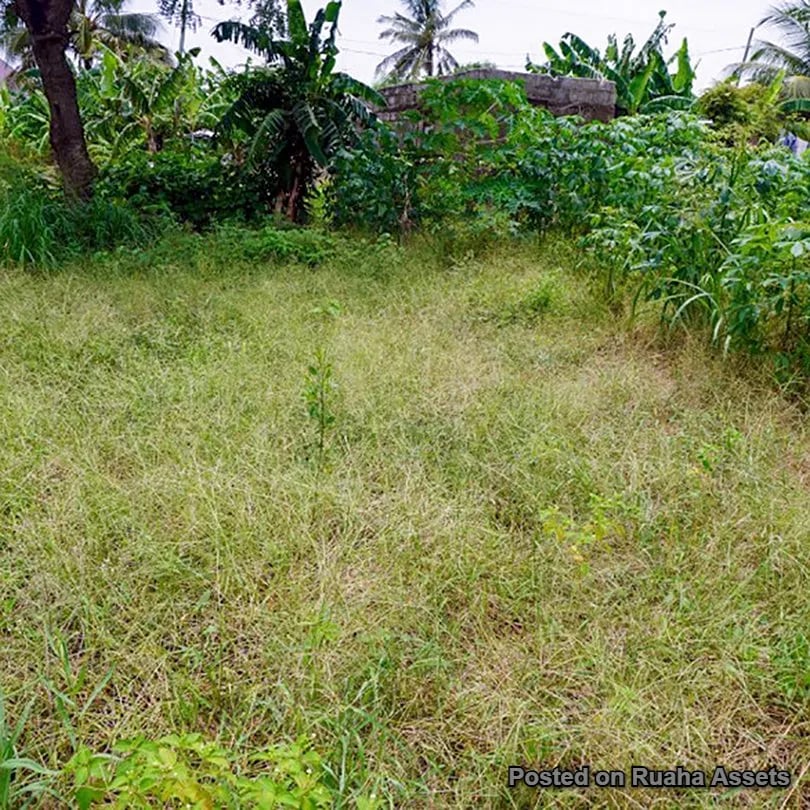 Residential & Commercial Plot for Sale image 10
