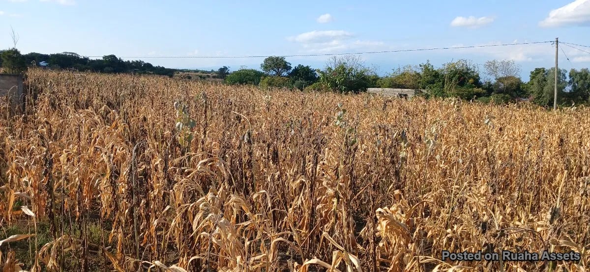 Big Plot near Kilimanjaro international Airport for sale image 3