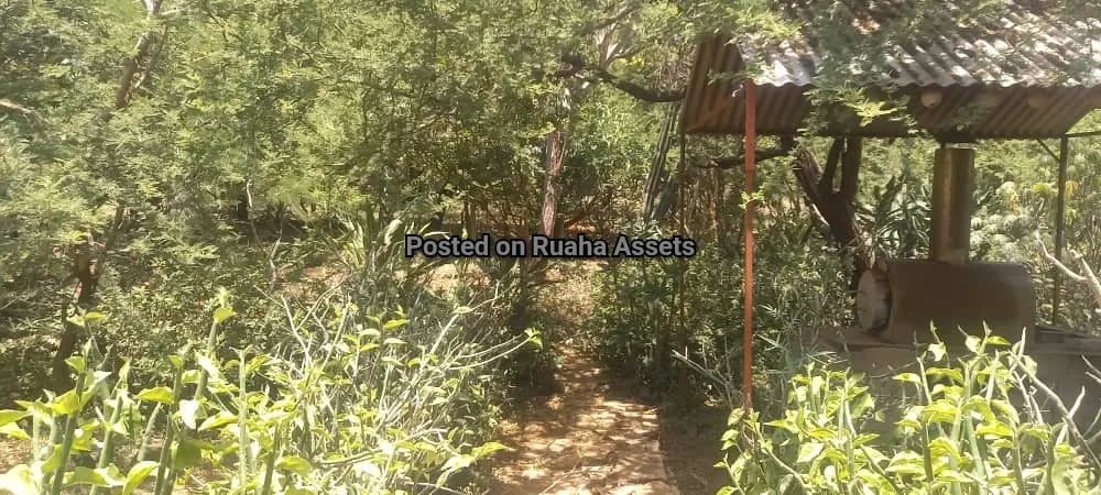 Big Plot with a House for Sale Njiro Arusha image 11