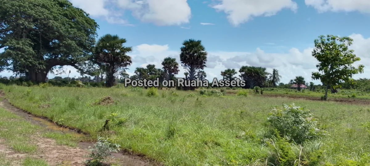 Plot near beach Puna beach image 2