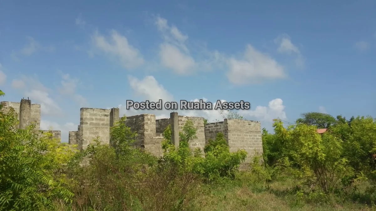 Beach House at Mbutu Beach image 1