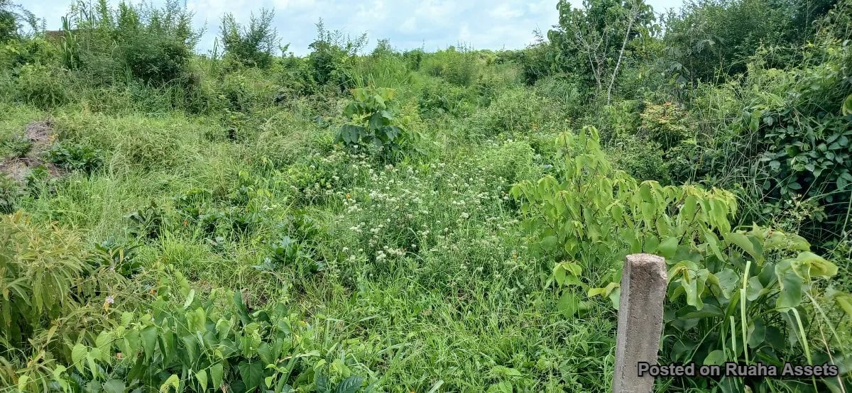 10 acres for sale at Kibaha image 6