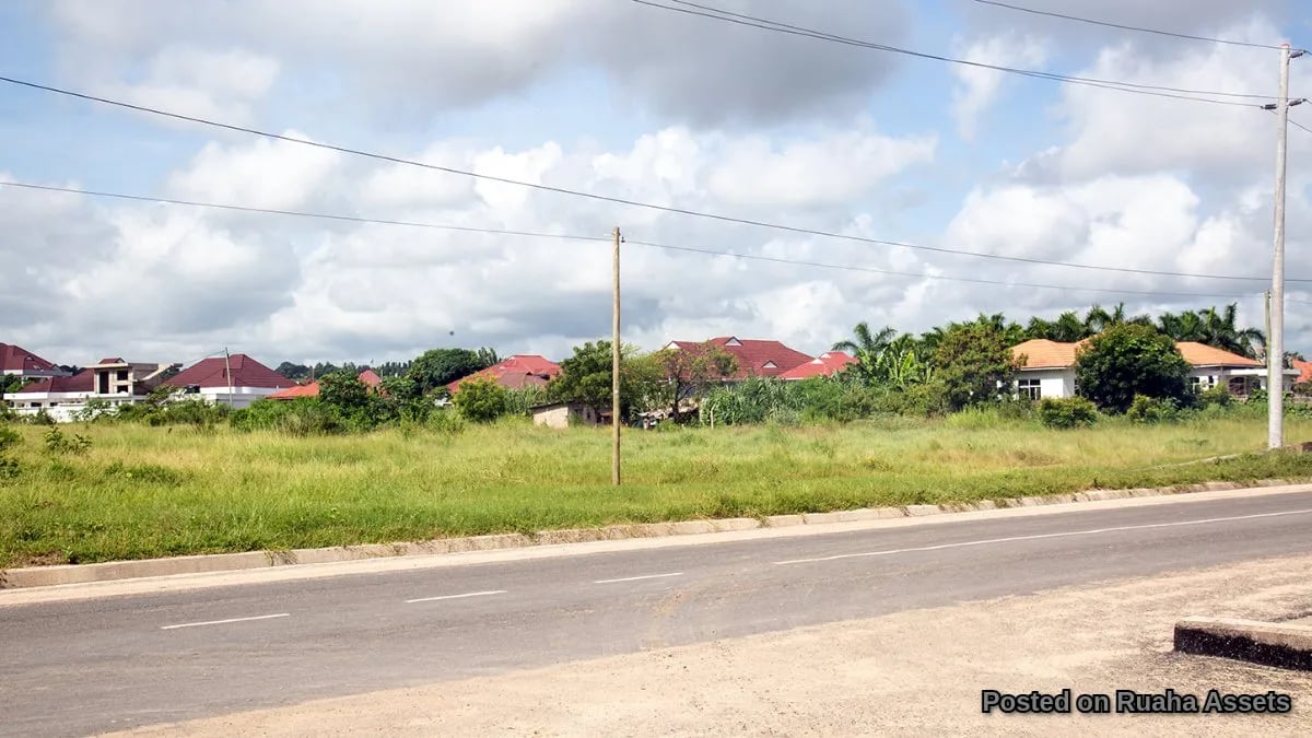 Prime Plots in Mbweni Malindi image 4