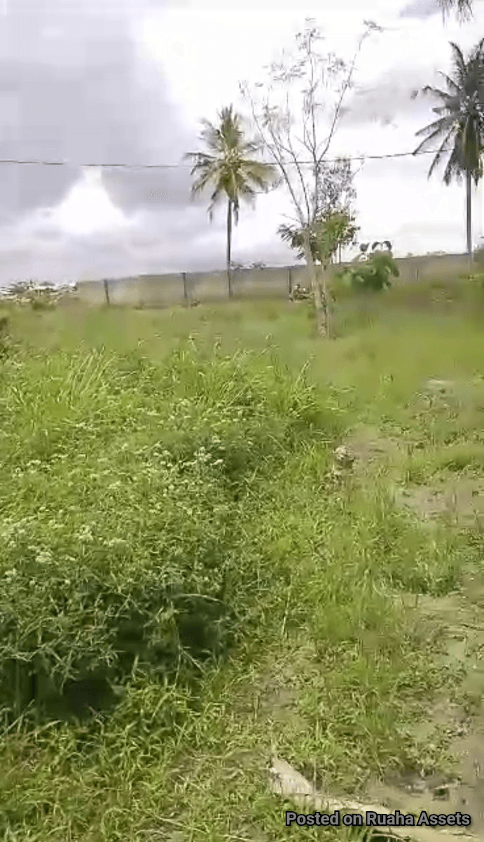 Half an acre for sale Mabwepande image 2