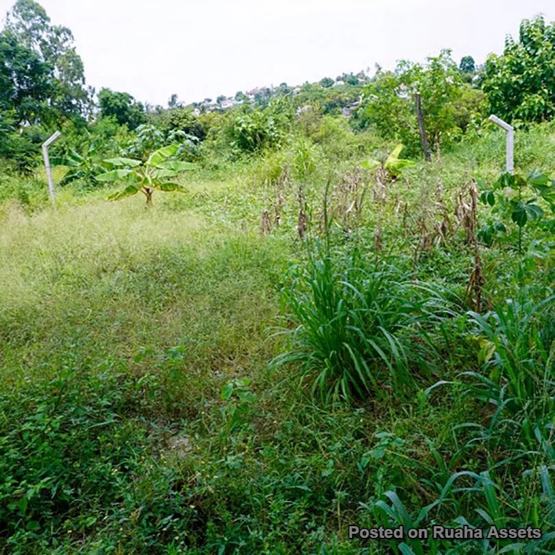 Residential & Commercial Plot for Sale image 9