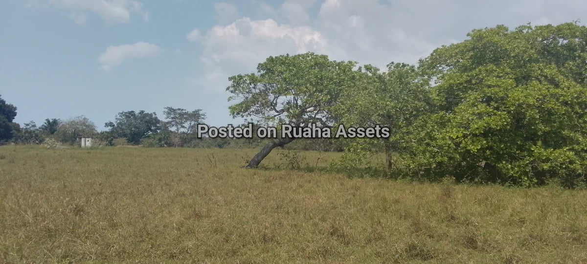 Plots at Kitopeni Bagamoyo image 1