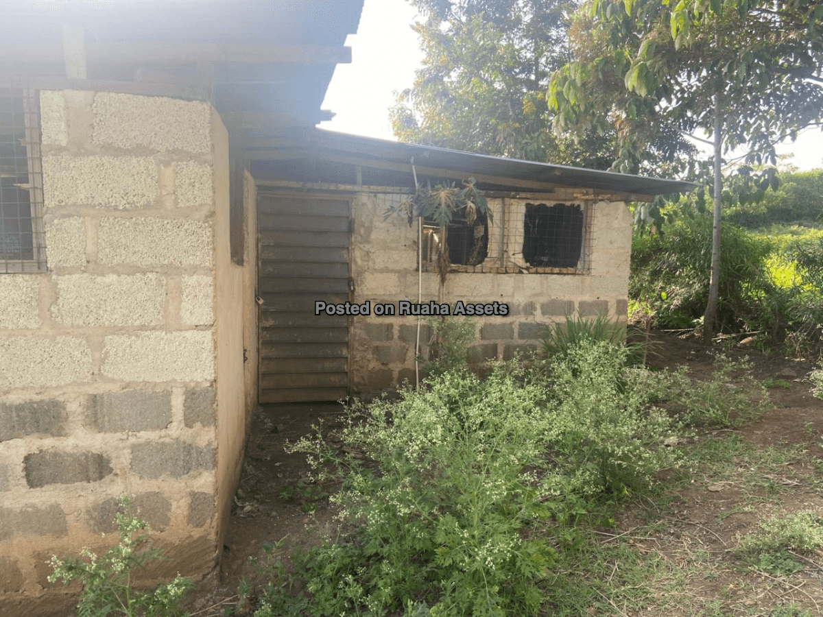 Shamba la Heka mbili, Nelson Mandela University Arusha image 5