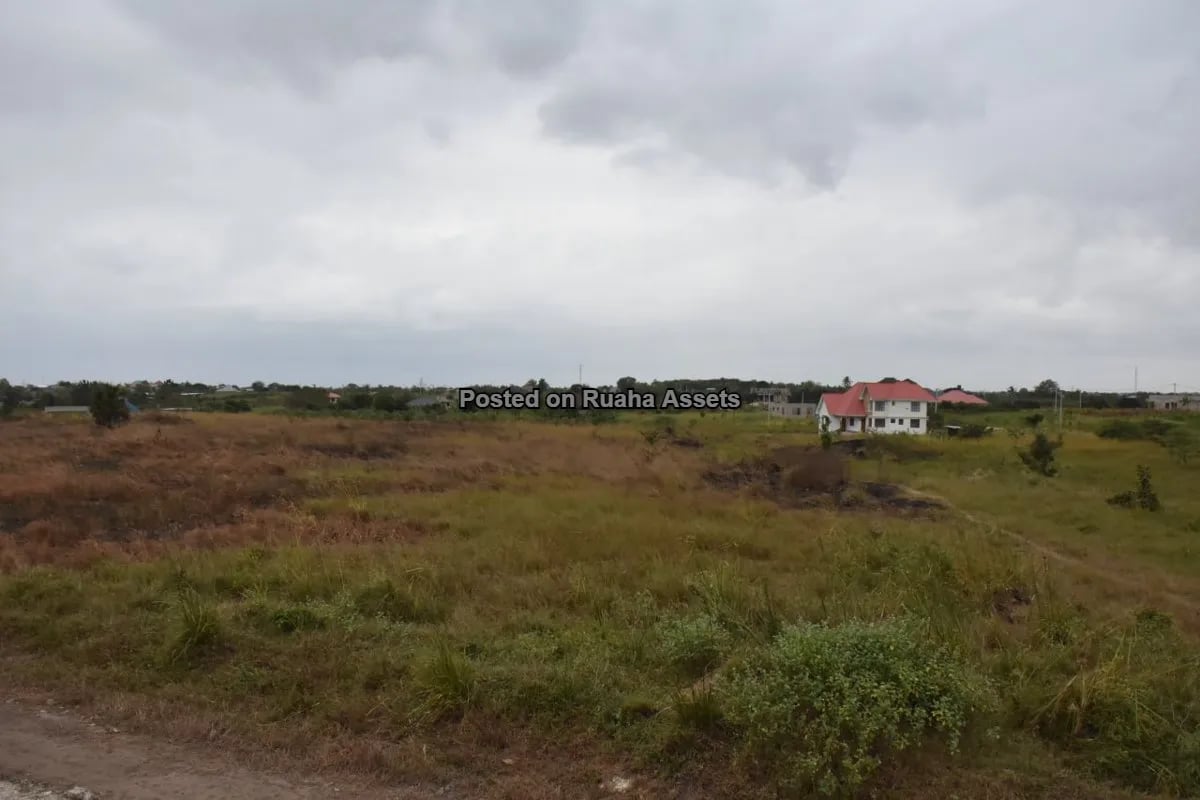 Viwanja Vikubwa Vinauzwa Mabwepande image 7