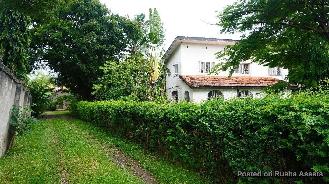 Uporoto Property for Joint Venture image 6