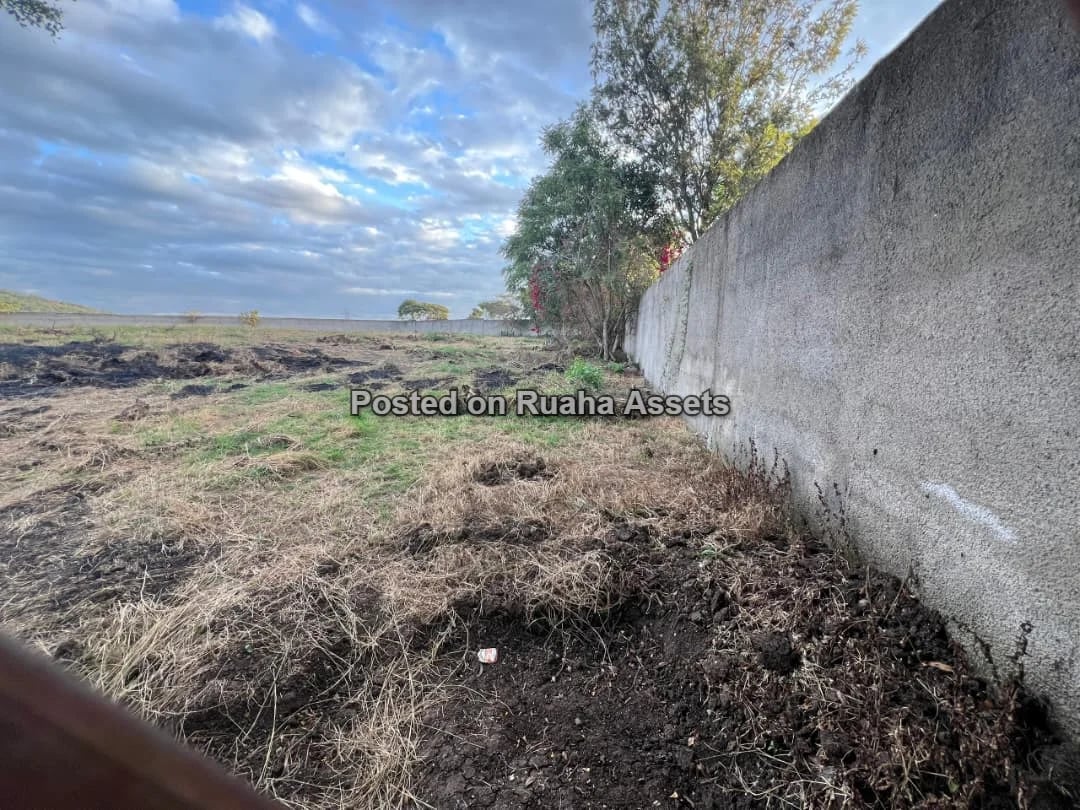 PRIME 3-ACRE INVESTMENT PROPERTY FOR SALE – KISONGO, ARUSHA image 7