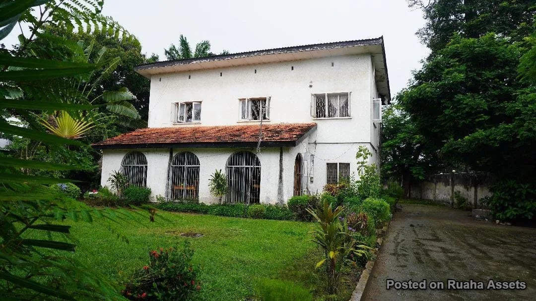 Uporoto Property for Joint Venture image 7