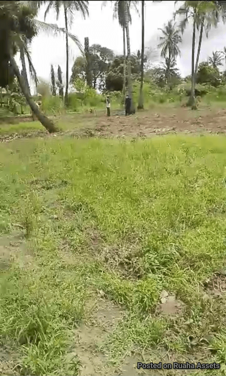 Half an acre for sale Mabwepande image 3