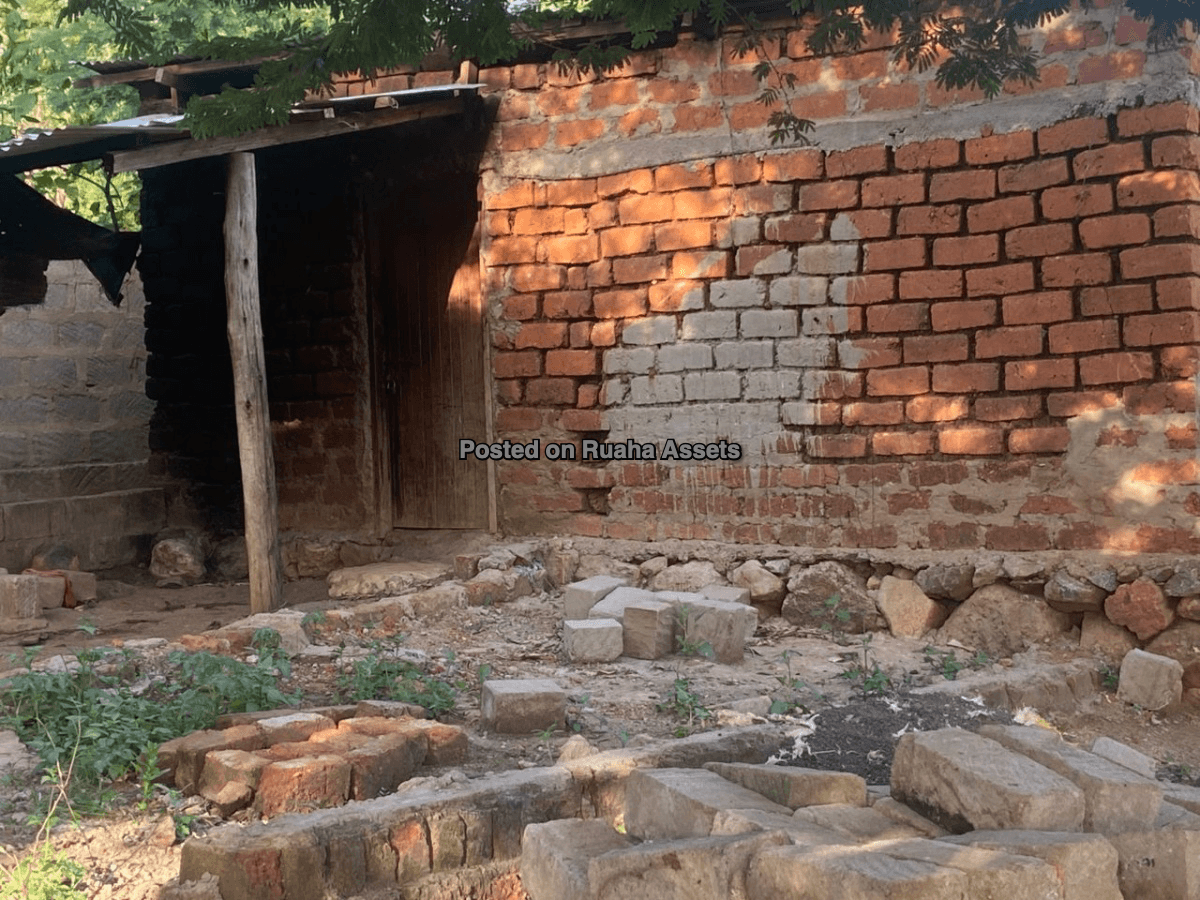 Shamba la Heka mbili, Nelson Mandela University Arusha image 6