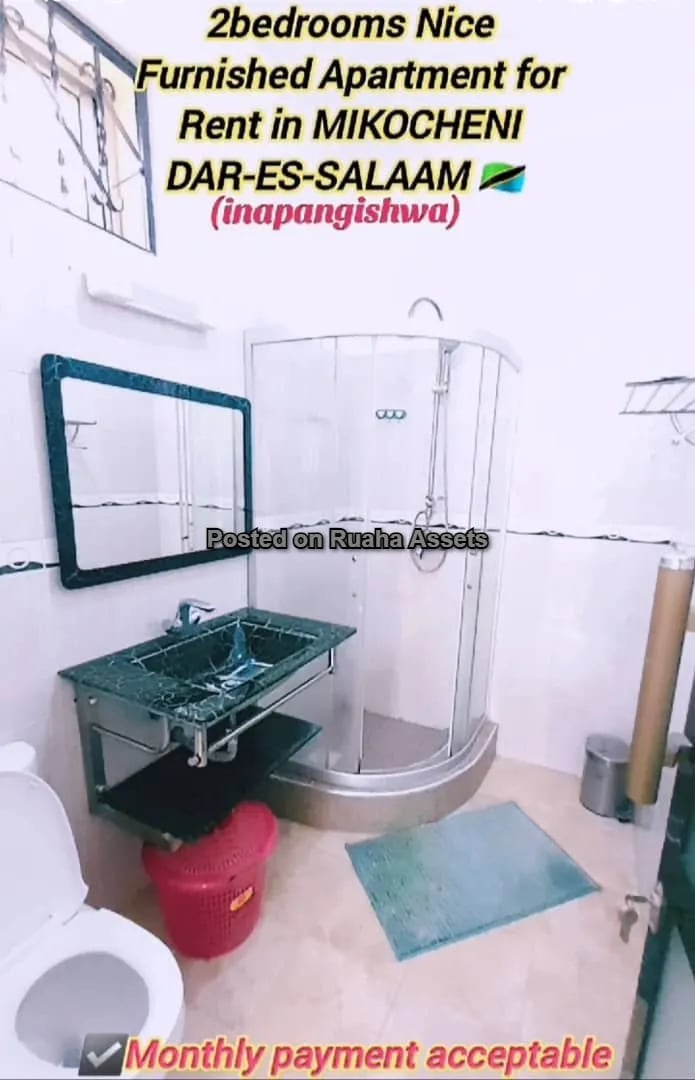 Furnished Apartment for Rent at Mikocheni image 11