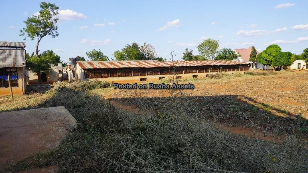Shamba Kubwa Lenye Majengo ya Ufugaji Linauzwa image 3