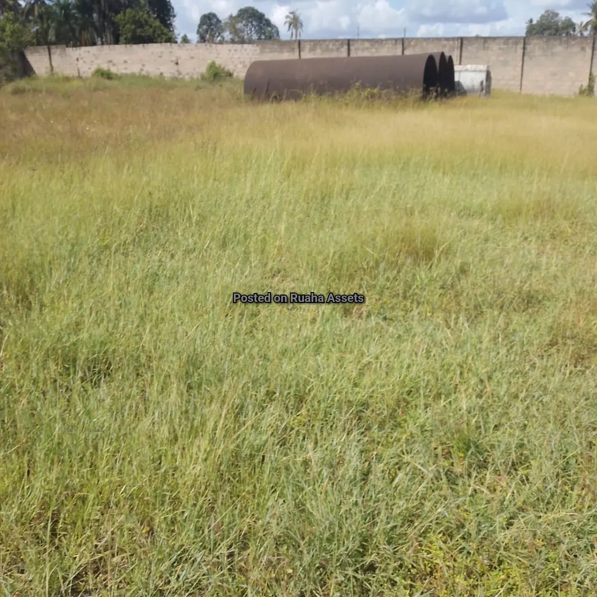 Warehouse for lease at Misugusugu image 2