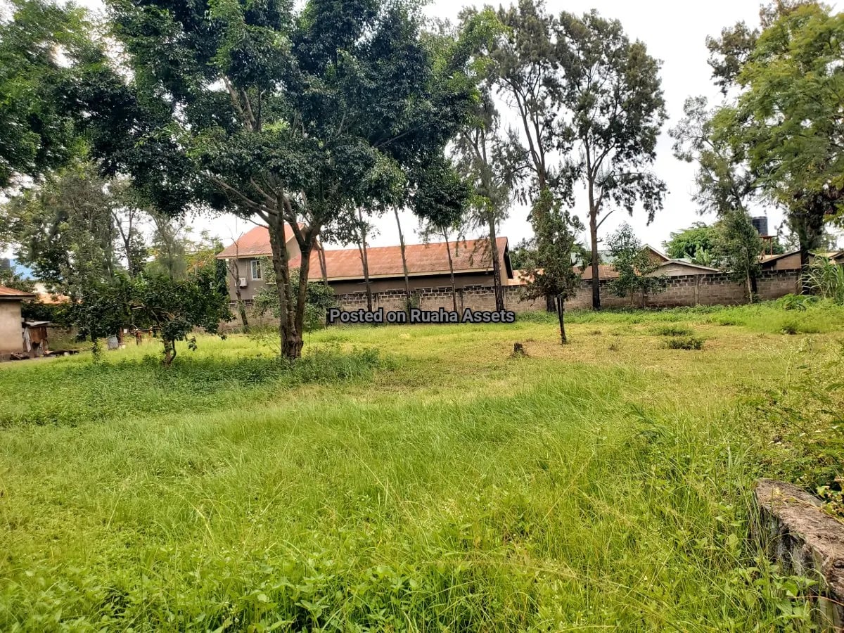 Flat on 1 acre plot for Sale at Majengo, Arusha image 5