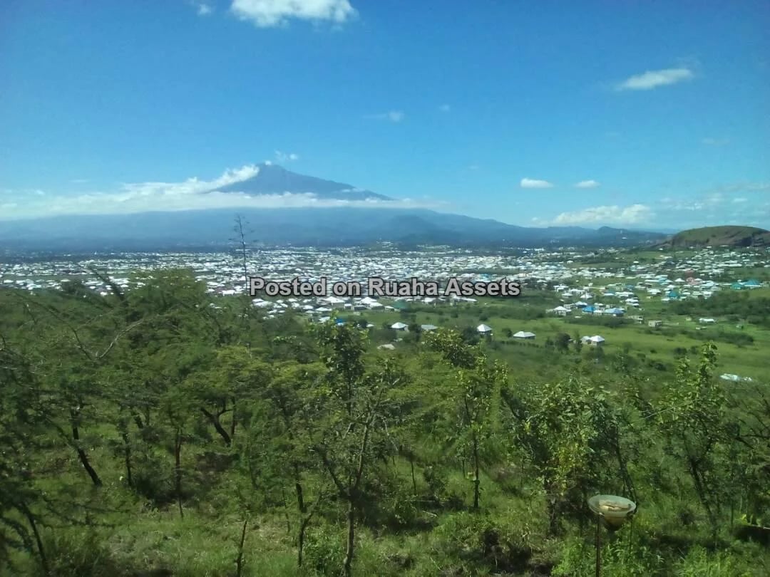 Commercial Property with Company Title Deed for sale in Arusha image 7