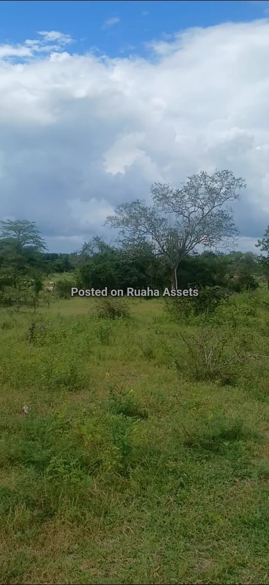 Prime Industrial Plot for Sale at Chamakweza image 2