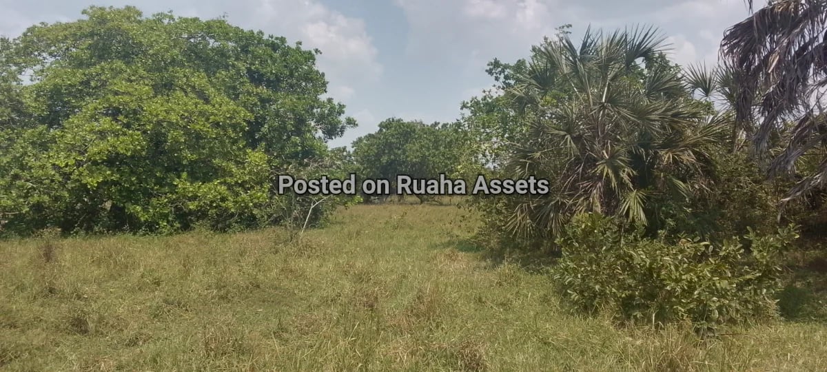 Plots at Kitopeni Bagamoyo image 2