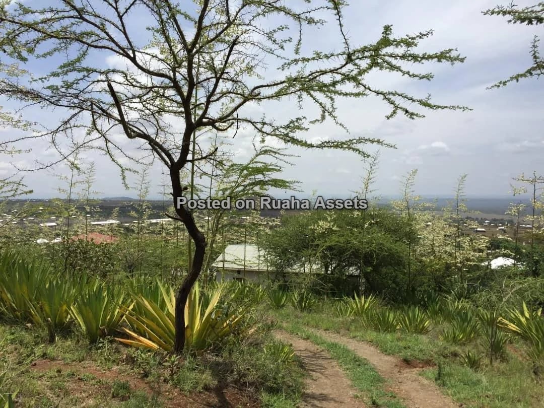 Commercial Property with Company Title Deed for sale in Arusha image 12