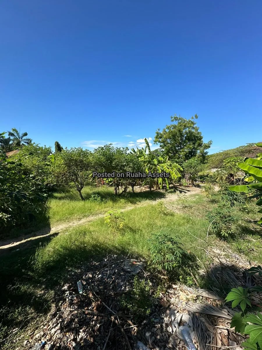 Prime Plot for Sale at Mbezi Beach image 4