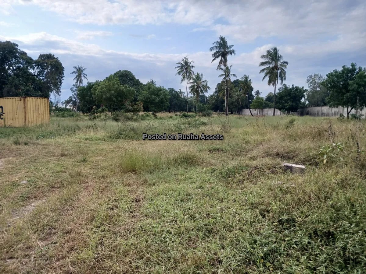 9 Acre Plot for Sale at Chamazi image 2
