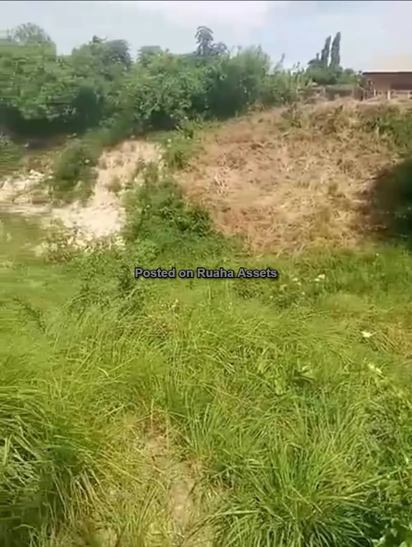 A plot for Sale at Kimara Korogwe image 3