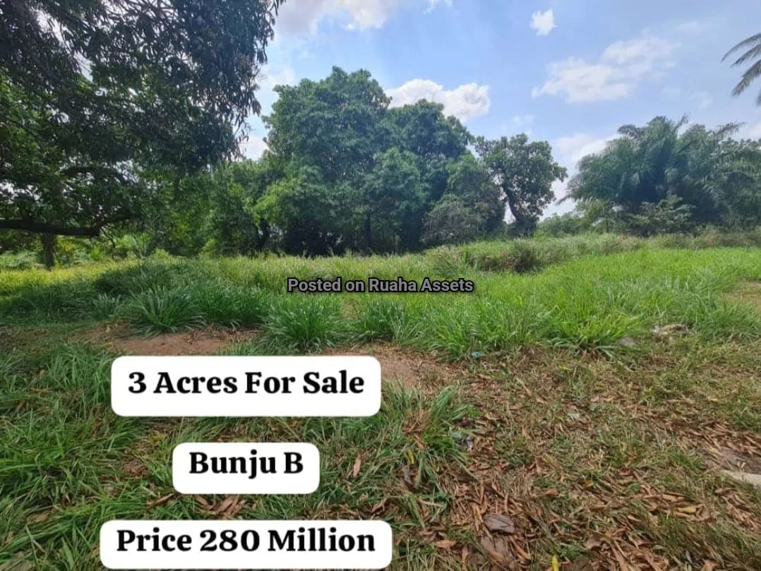 3 Acres for Sale at Bunju B image 3
