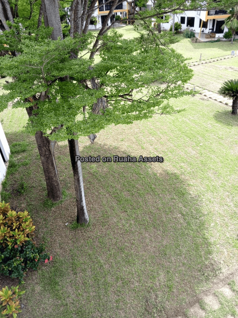 Beach front House for Sale image 8