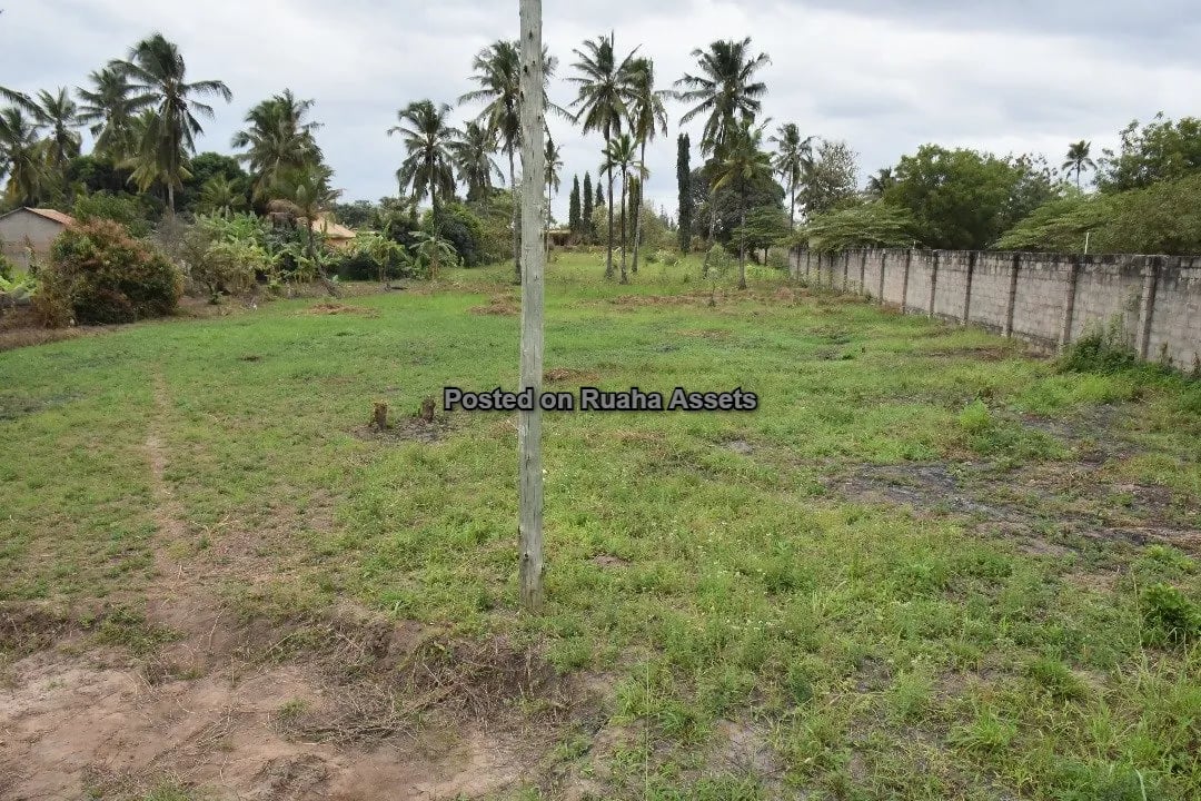 Kiwanja Kikubwa Kinauzwa Mabwepande image 2