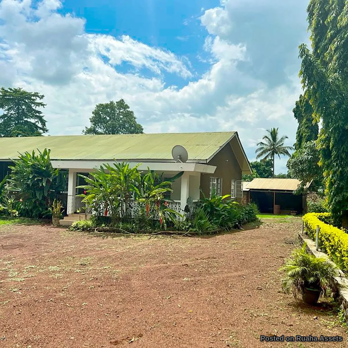 PRIME SHANTY TOWN FARM LAND FOR SALE image 2
