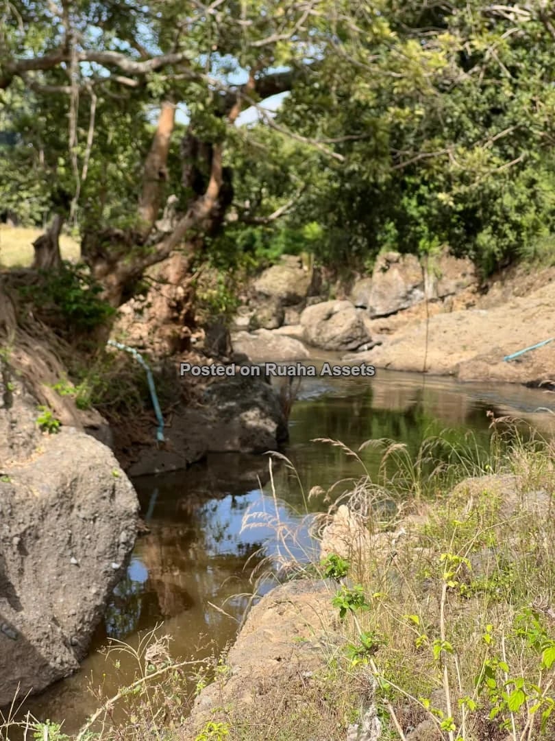 58 ACRES OF FARMLAND IS AVAILABLE FOR SALE Price is 17 million T-shillings per acre image 1