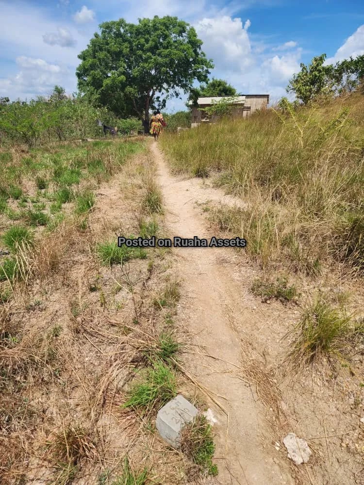 Viwanja Vilivyopimwa Vinauzwa Kiluvya image 1