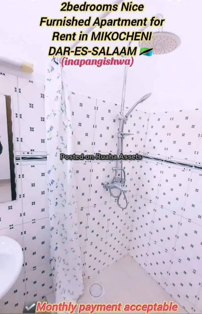 Furnished Apartment for Rent at Mikocheni image 5